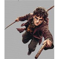 Harry Potter-HP 134